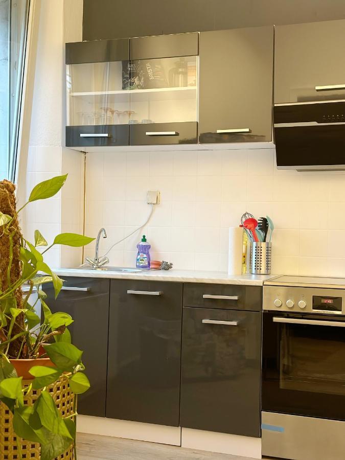 Igo Apartment 2 Schlafenzimmer Mit Waschmaschine Trockner Haustier Rheinufer 5Min Netflix Disney Plus 17-6 ดุยส์บูร์ก ภายนอก รูปภาพ